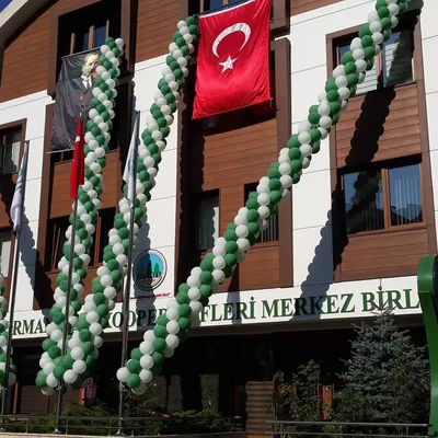 AVM Mağaza Renkli Kemer