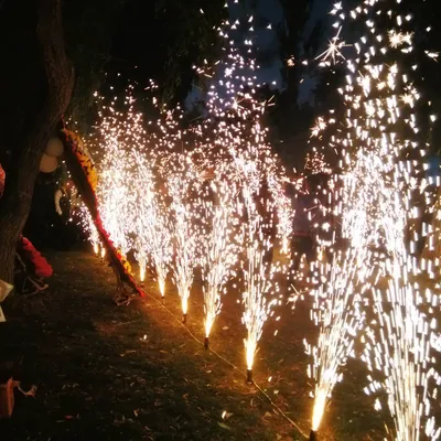 Doğum Günü Konsepti Ankara